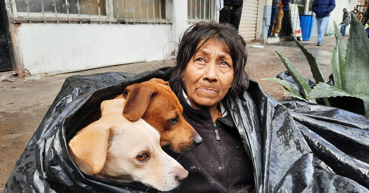 Mulher Sem Teto Se Recusa A Ir Para Abrigo Porque Não Permitem Animais De Estimação